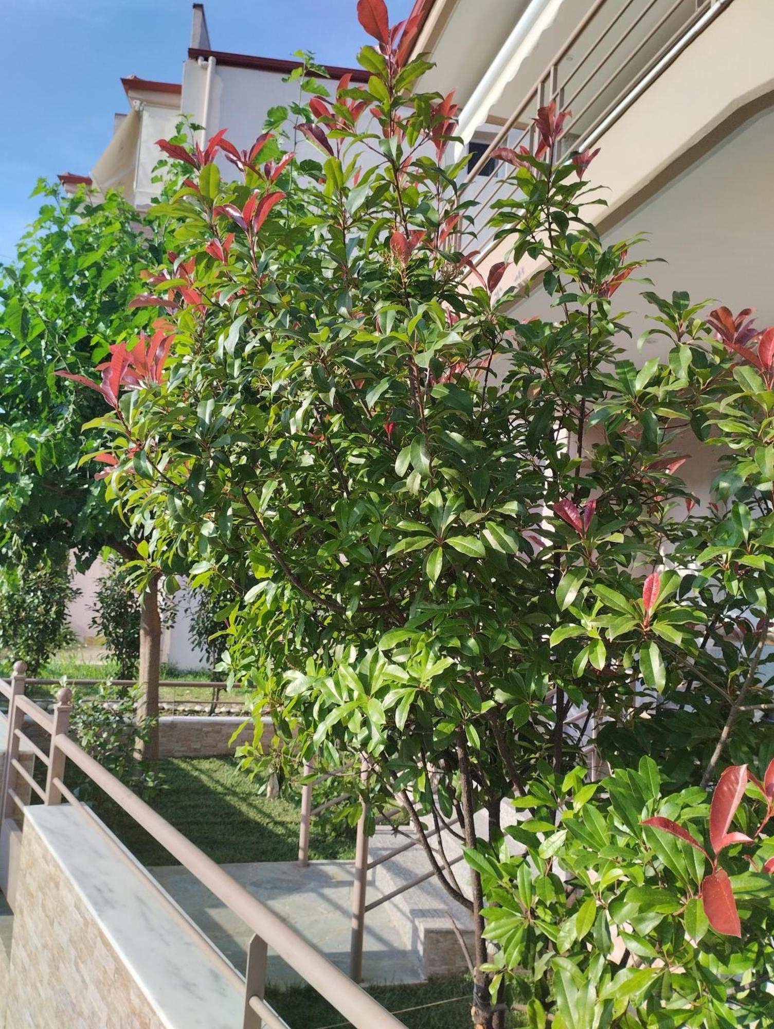 לפטוקריה Avellana Luxury Suites מראה חיצוני תמונה